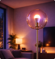 EvokLiving LED light bulb with clear glass and standard screw base, showcasing bright illumination and modern design.